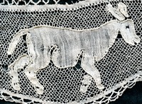 An Sher Donkeyclose585